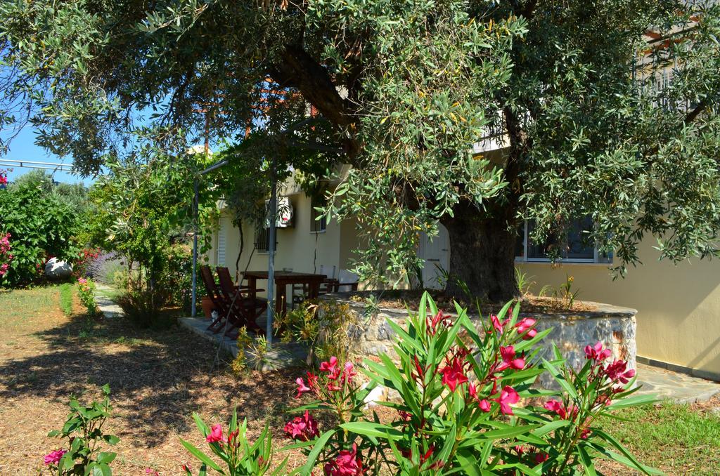 Villas Zoe Ksanemos Extérieur photo