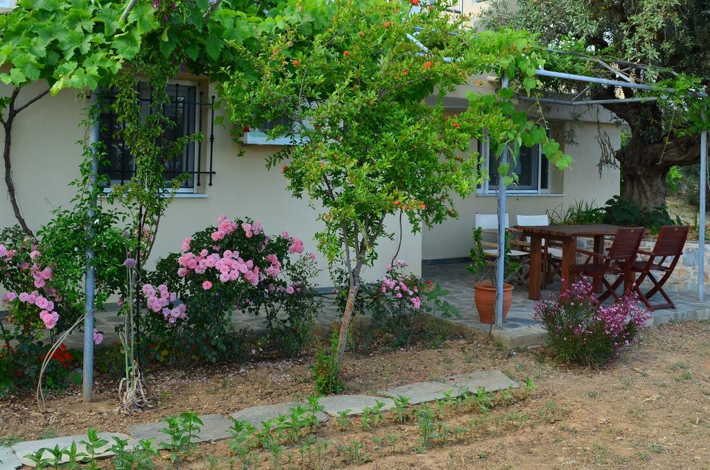 Villas Zoe Ksanemos Extérieur photo
