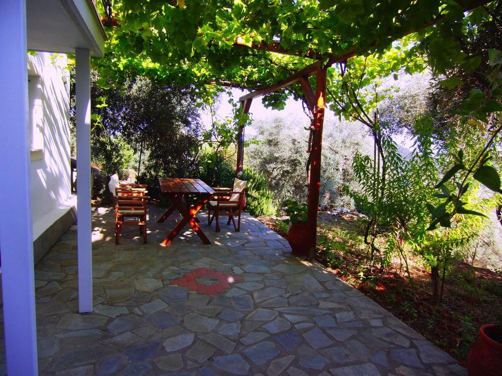 Villas Zoe Ksanemos Extérieur photo